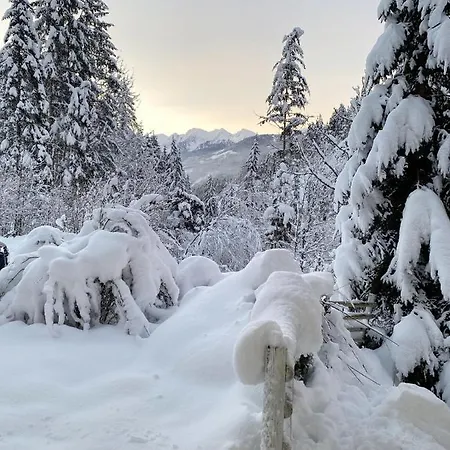 Apartment Steinfisch Ramsau am Dachstein