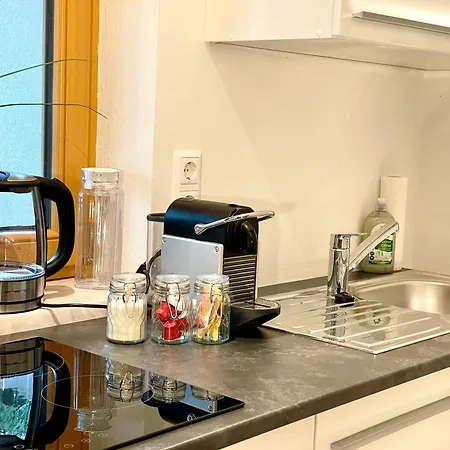 Steinfisch Ramsau am Dachstein