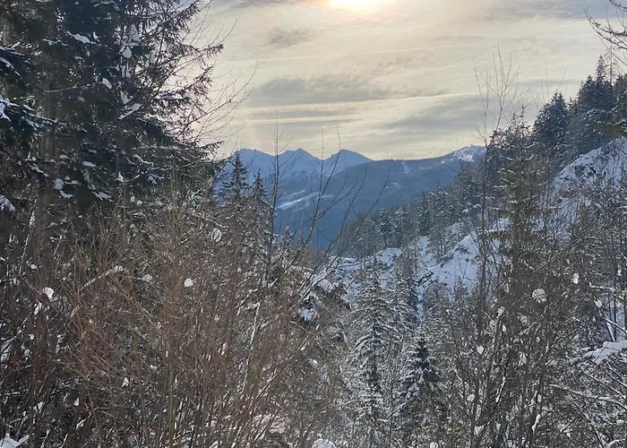 Appartement Steinfisch *