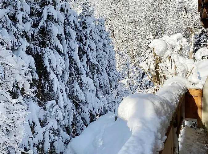 Steinfisch Lägenhet *
