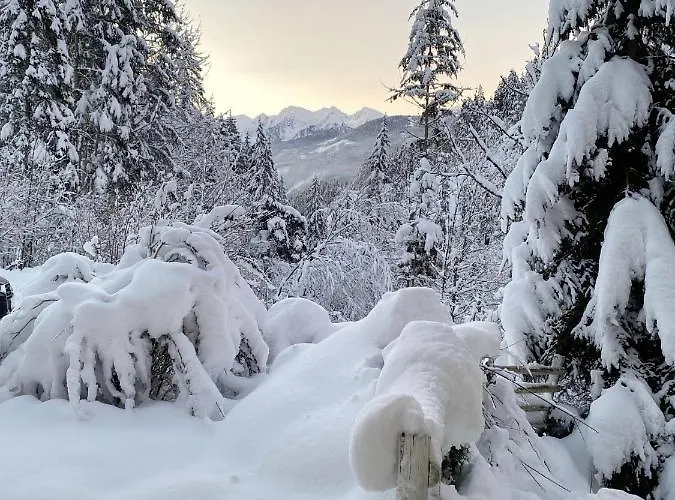 Appartement Steinfisch Ramsau am Dachstein