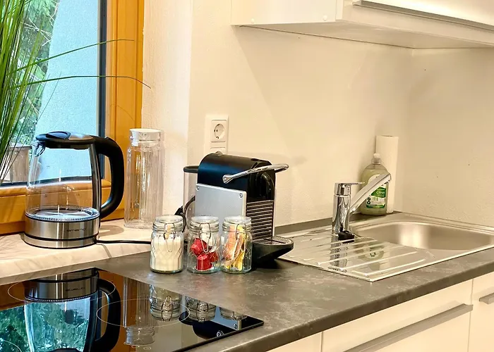 Steinfisch Ramsau am Dachstein